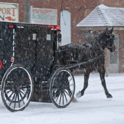 Step Back In Time Tours