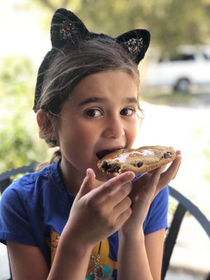 Maya's Cookies by null