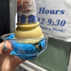 Trailside Treats Creamery - Kids size Cookie Monster - my kids always request a cone and cup