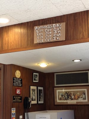 Cat Clinic 142 Lomita Dr Mill Valley Ca Veterinarians Mapquest