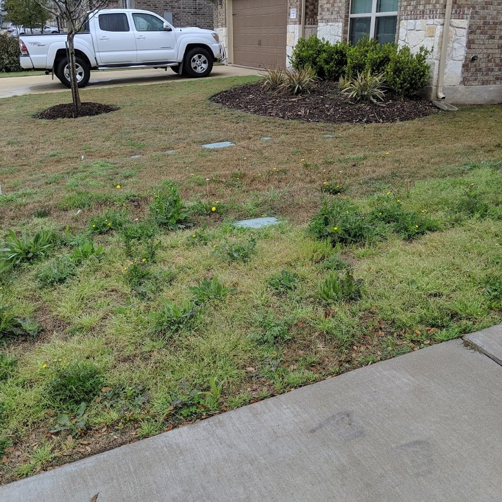 Really? I paid the full amount, and there's weeds. I could have paid a dealer for better weed handling!