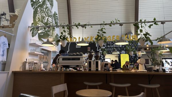 Living Waters Brewing by null