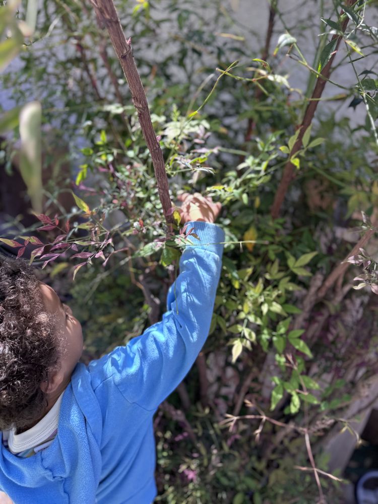 Tater Tots Daycare - childcare center in Sacramento, CA