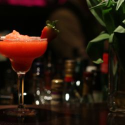 Cheetah Bar