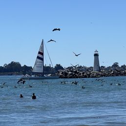 Lighthouse Lighthouse
