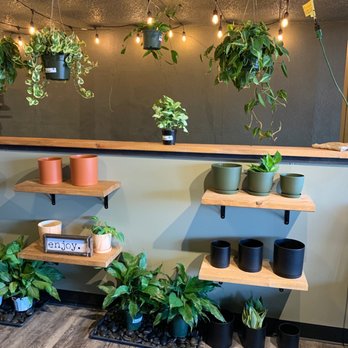 The Rooted Rose - Cute shop!!! - Yoga Near Me - Fountain, Colorado The Rooted Rose - Cute shop!!! - Yoga Near Me - Fountain, Colorado