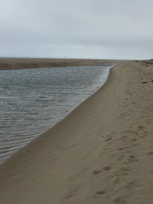 Longnook Beach by null