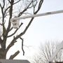 Photo of The Tree Barber
