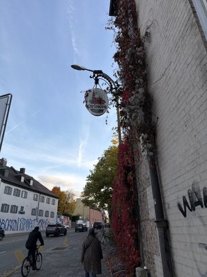 Giesinger Bräustüberl by null