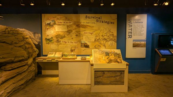 Furnace Creek Visitor Center by null