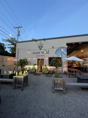 Root Wild Kombucha by null