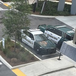 Broward Sheriff's Office - Tamarac - Lazy pigs