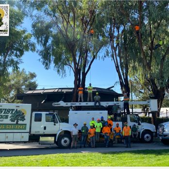 Buena Vista Tree Service - A group photo taken at the Alameda County Fairgrounds while we were doing work for seasonal maintenance - Tree Services Near Me - Livermore, California Buena Vista Tree Service - A group photo taken at the Alameda County Fairgrounds while we were doing work for seasonal maintenance - Tree Services Near Me - Livermore, California