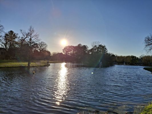 Avondale Park by null