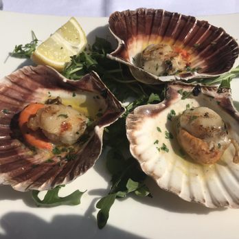 Rialto Novo - Scallops - Trattorie Near Me - Venezia, VE Rialto Novo - Scallops - Trattorie Near Me - Venezia, VE