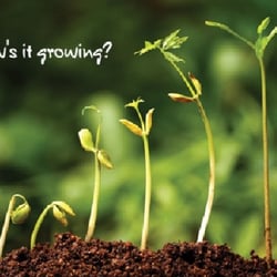 ActionCOACH N3 Coaching - A GREAT question... how is it growing?  Is your business growing at the speed and pace expected?  Have any ideas how to improve?