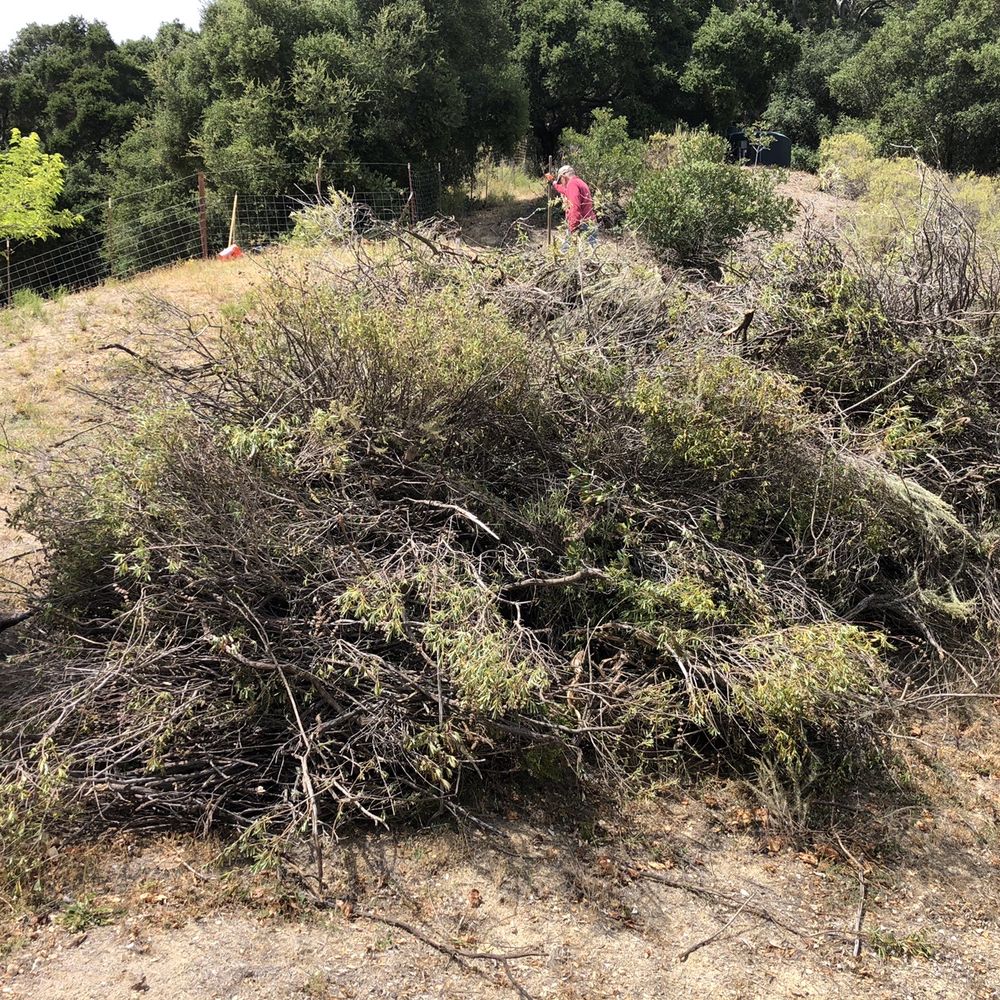 AAA Arbor First - Brush chipping - Tree Services Near Me - Morro Bay, California AAA Arbor First - Brush chipping - Tree Services Near Me - Morro Bay, California