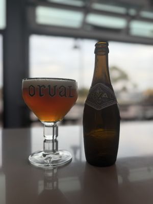 The Whale A Craft Beer Collective by null