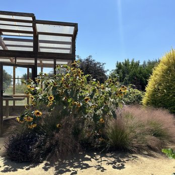 Cornerstone Sonoma - Sunflowers - Venues & Event Spaces Near Me - Sonoma, California Cornerstone Sonoma - Sunflowers - Venues & Event Spaces Near Me - Sonoma, California