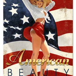 Greg Hildebrandt's Spiderweb Art Gallery - One of our numerous beautiful pin up tin signs from Greg Hildebrandt's American Beauties Series.