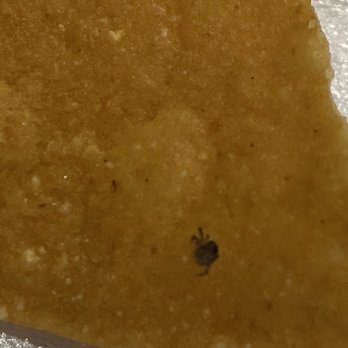 Los Bravos - Spider found in our chips - Mexican Near Me - Pooler, Georgia
