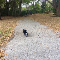 Northeast Park and Paw Place