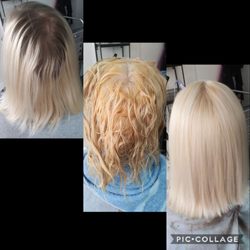 Salon 208