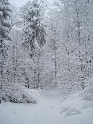 Uetliberg by null