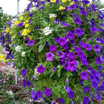 Sunnyslope Gardens - Nurseries & Gardening Near Me - New Berlin, Wisconsin