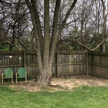 Legacy Service Company - My yard after removing two dead trees - Junk Removal & Hauling Near Me - Fordland, Missouri