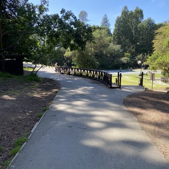 Codornices Park - Parks Near Me - Berkeley, California Codornices Park - Parks Near Me - Berkeley, California