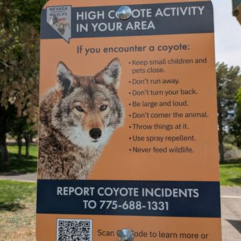 Pittman Wash Trail - Be aware of coyotes. - Hiking Near Me - Henderson, Nevada Pittman Wash Trail - Be aware of coyotes. - Hiking Near Me - Henderson, Nevada