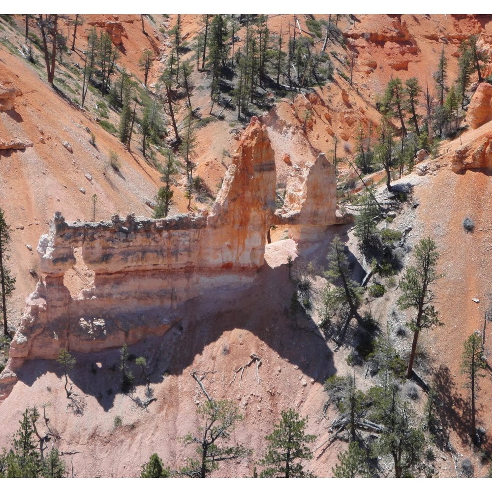 Fairyland Loop Trail - Fairyland Loop Trail - Tower Bridge - Hiking Near Me - Bryce Canyon, Utah