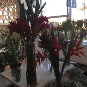 Sonny Alexander Flowers - Florists Near Me - Los Angeles, California Sonny Alexander Flowers - Florists Near Me - Los Angeles, California