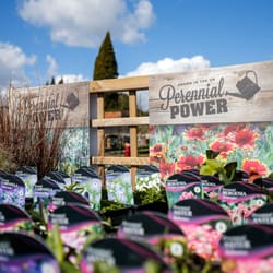Almondsbury Garden Centre - All year round colour