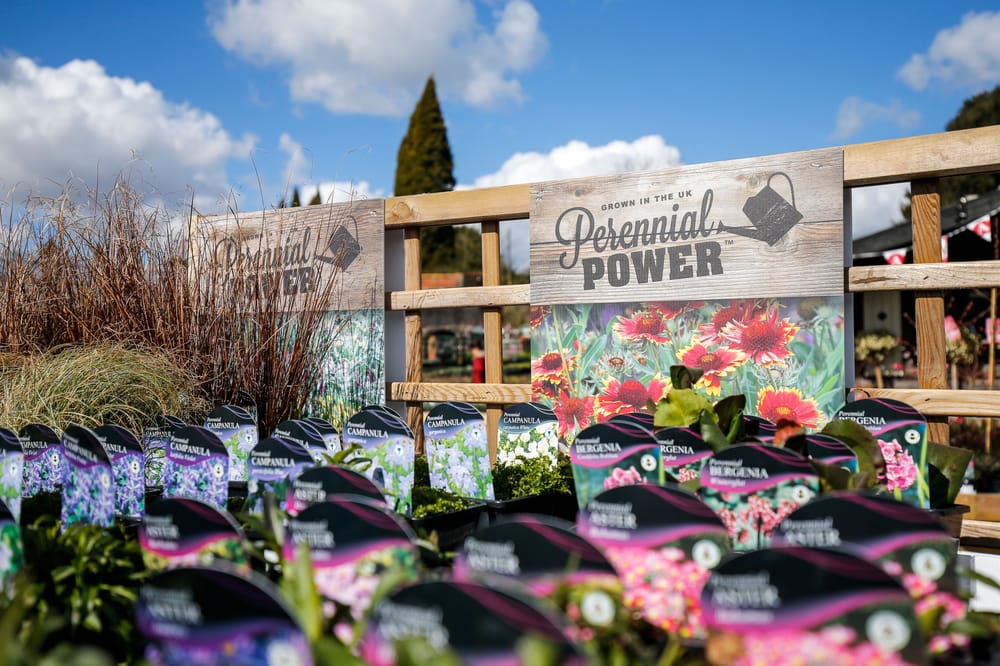 ALMONDSBURY GARDEN CENTRE Updated September 2024 Over Lane, Bristol