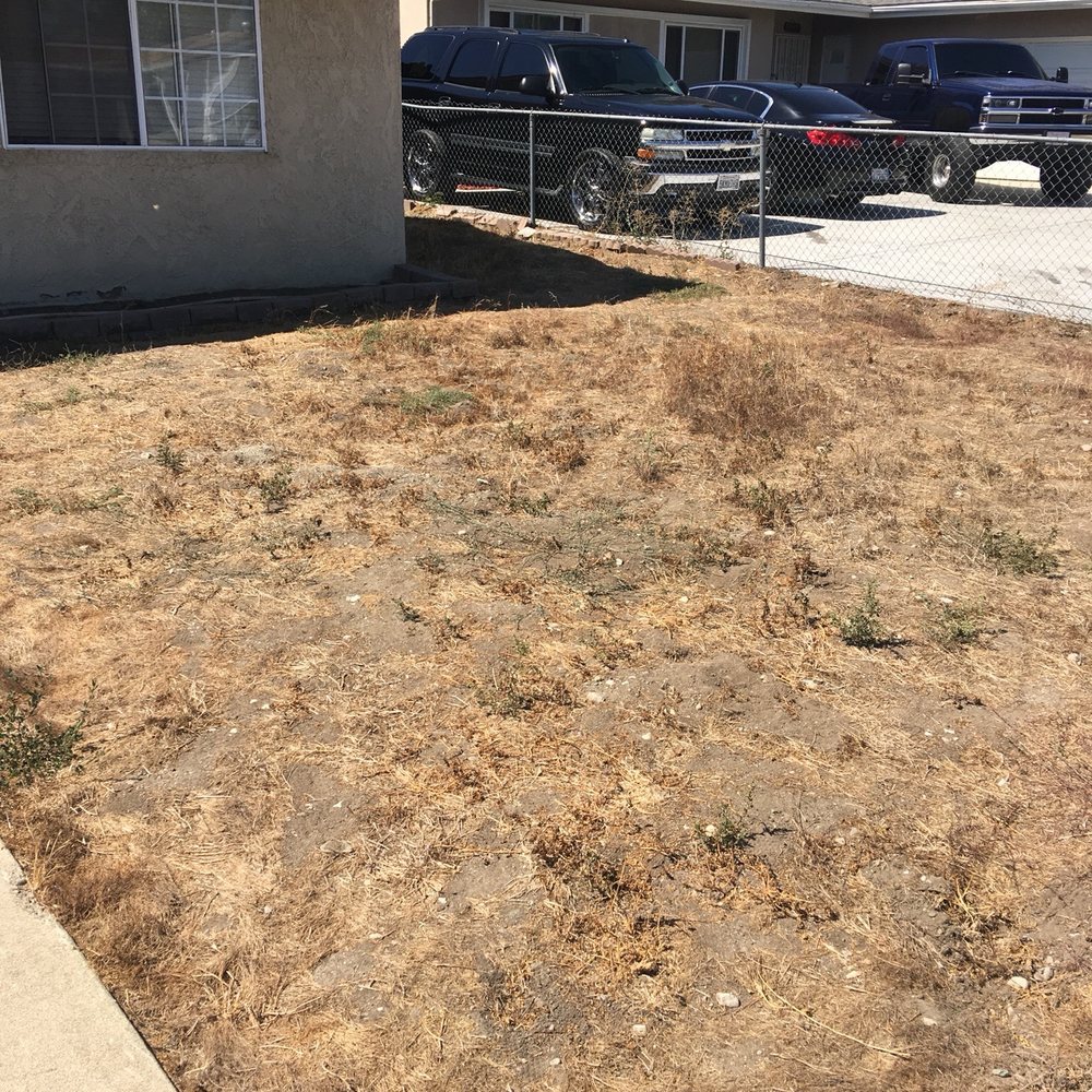 The Turf Dr - Landscaping Near Me The Turf Dr - Landscaping Near Me