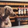 Sawyer Springs Vineyard