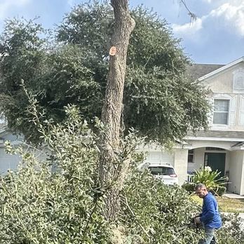 Star Bluegill's Tree Services - Tree Services Near Me Star Bluegill's Tree Services - Tree Services Near Me