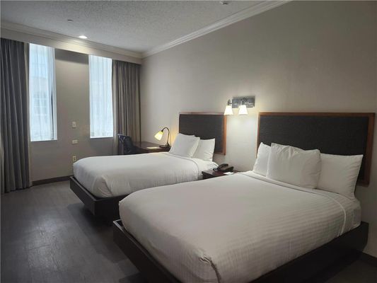 Wyndham Garden Baronne Plaza New Orleans by null