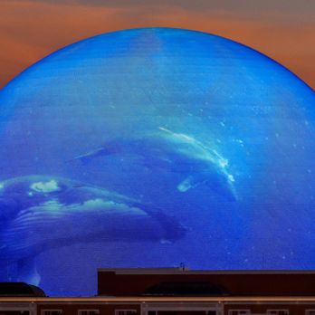 Sphere - Stadiums & Arenas Near Me - Las Vegas, Nevada