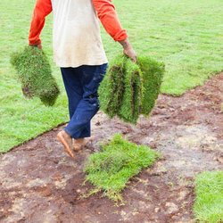 Atlanta Metro Sod