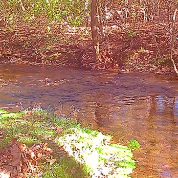 Valley Creek Park - Parks Near Me - Malvern, Pennsylvania Valley Creek Park - Parks Near Me - Malvern, Pennsylvania