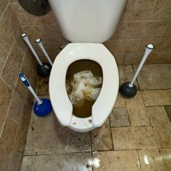 Food Lion - Diabolical toilet