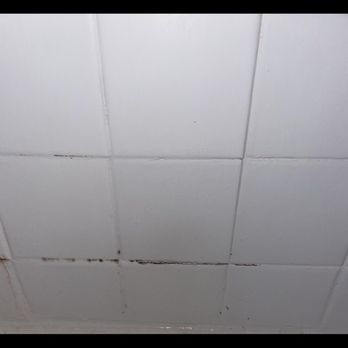 VIEW Carlton Arms - BLACK MOLD - Apartments Near Me - Bradenton, Florida VIEW Carlton Arms - BLACK MOLD - Apartments Near Me - Bradenton, Florida