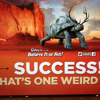Ripley's Haunted Castle Tour - Museums Near Me - Saint Augustine, Florida Ripley's Haunted Castle Tour - Museums Near Me - Saint Augustine, Florida