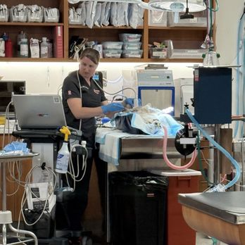 VEG ER for Pets - Dr. Erica Novac doing her magic! - Emergency Pet Hospital Near Me - Asheville, North Carolina VEG ER for Pets - Dr. Erica Novac doing her magic! - Emergency Pet Hospital Near Me - Asheville, North Carolina