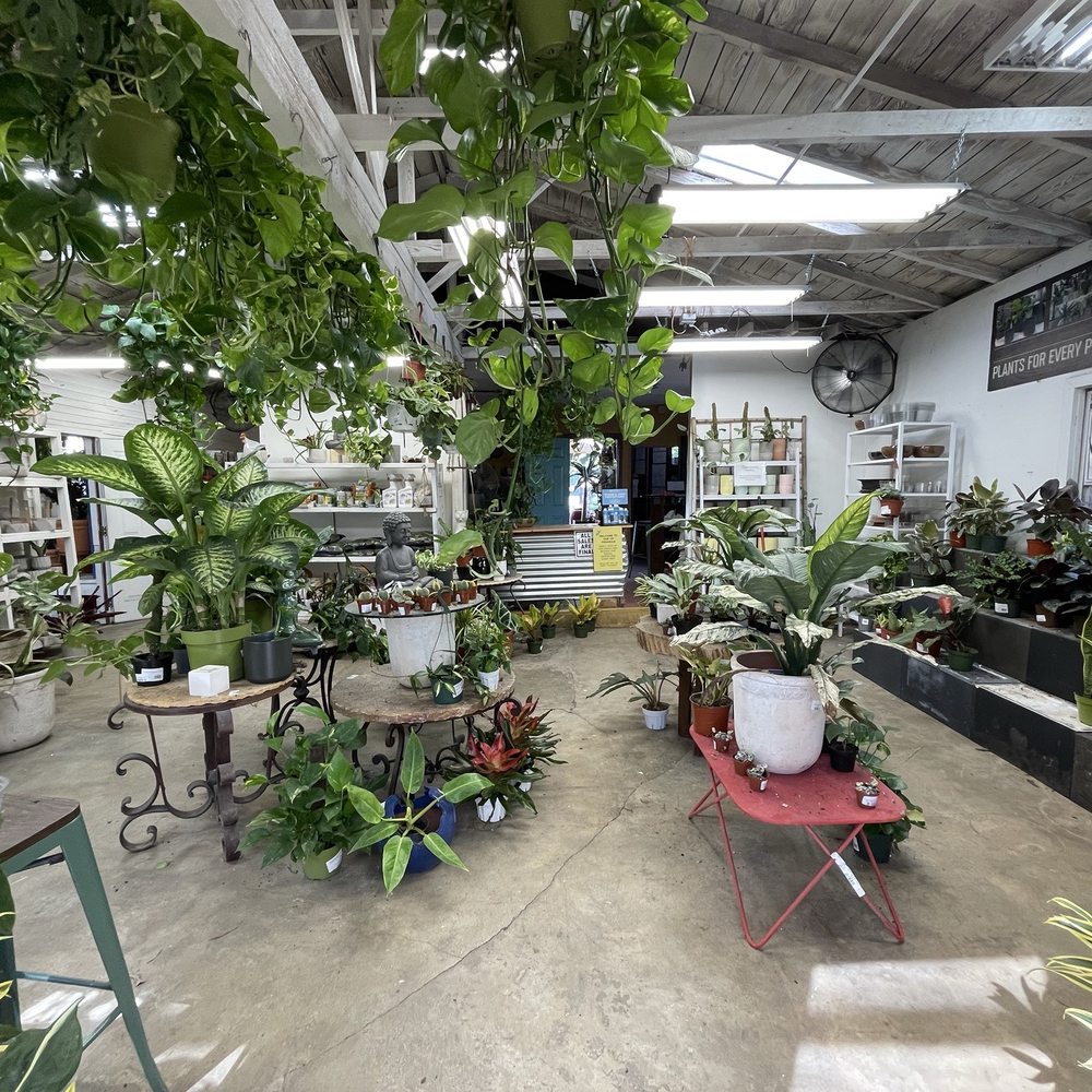 Jackalope Pottery - Indoor section - Nurseries & Gardening Near Me - North Hollywood, California