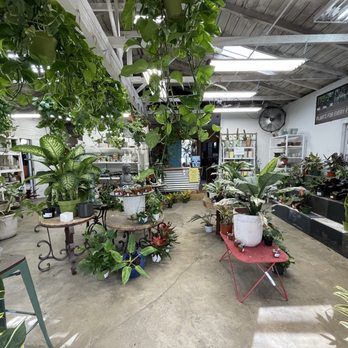 Jackalope Pottery - Indoor section - Nurseries & Gardening Near Me - North Hollywood, California
