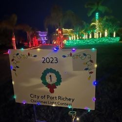 Lighting Up Your Christmas - 2023 Winner